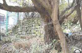 Oportunitate de investitie la 3058 mp!