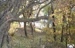 Oportunitate de investitie la 3058 mp!