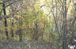 Oportunitate de investitie la 3058 mp!