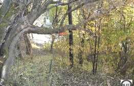 Oportunitate de investitie la 3058 mp!