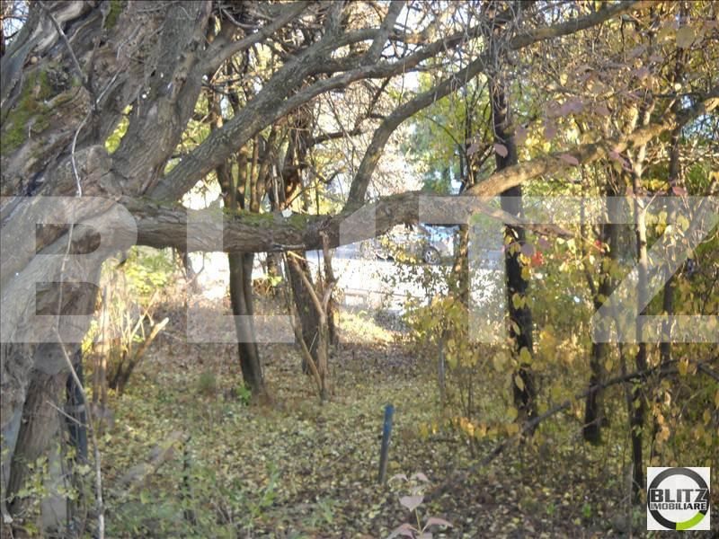 Teren de vânzare Grigorescu - 23099TV | BLITZ Cluj-Napoca | Poza3