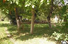 Teren de vanzare in zona Grigorescu!