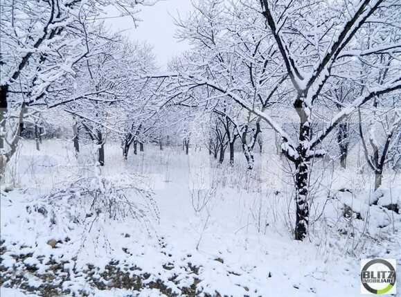 Teren de vânzare Grigorescu - 23111TV | BLITZ Cluj-Napoca | Poza8