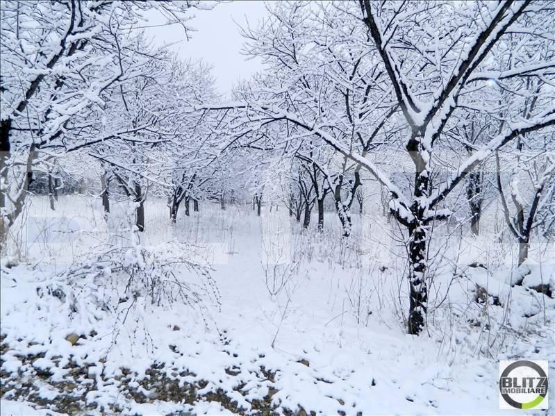 Teren de vânzare Grigorescu - 23111TV | BLITZ Cluj-Napoca | Poza8