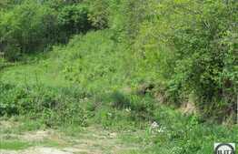 Teren intravilan, 720 mp, CF, toate utilitatile, zona strazii Donath