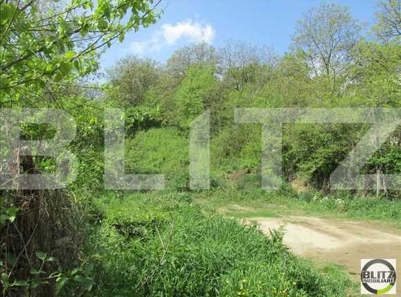 Teren de vânzare Grigorescu - 23113TV | BLITZ Cluj-Napoca | Poza3