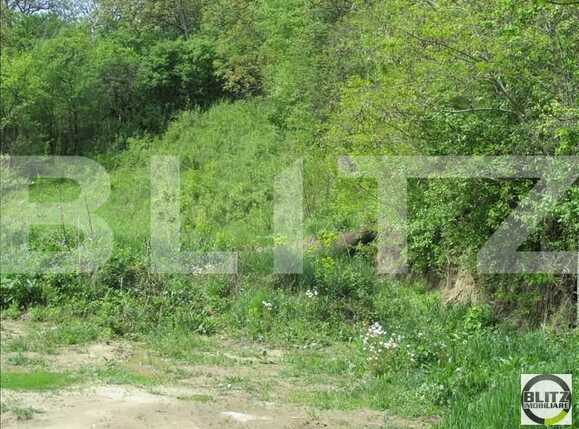 Teren de vânzare Grigorescu - 23113TV | BLITZ Cluj-Napoca | Poza4