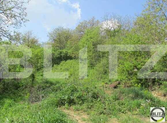 Teren de vânzare Grigorescu - 23113TV | BLITZ Cluj-Napoca | Poza1
