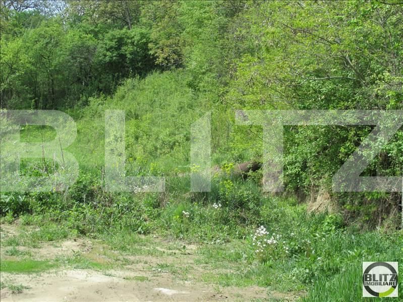 Teren de vânzare Grigorescu - 23113TV | BLITZ Cluj-Napoca | Poza4
