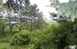 Teren de vanzare, 4000 mp, front de 28 ml la strada, in Grigorescu