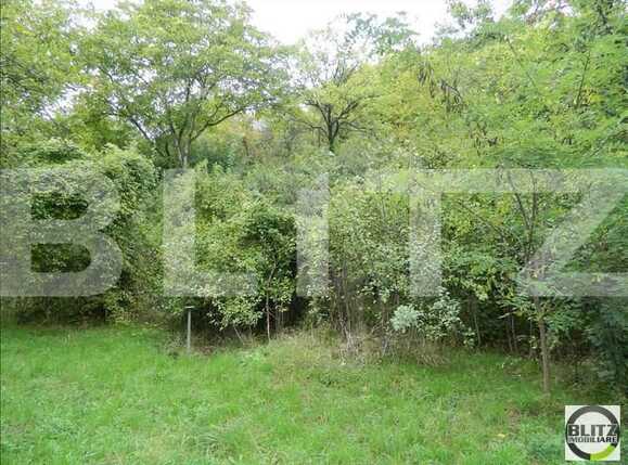 Teren de vânzare Grigorescu - 23114TV | BLITZ Cluj-Napoca | Poza3