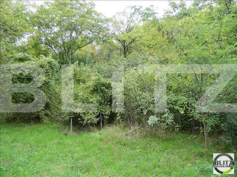 Teren de vânzare Grigorescu - 23114TV | BLITZ Cluj-Napoca | Poza3