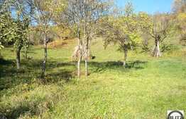 Teren de vanzare 1100 mp, situat in zona linistita