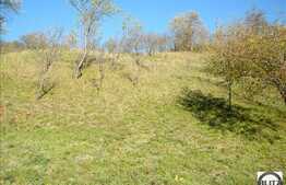 Teren de vanzare 1100 mp, situat in zona linistita