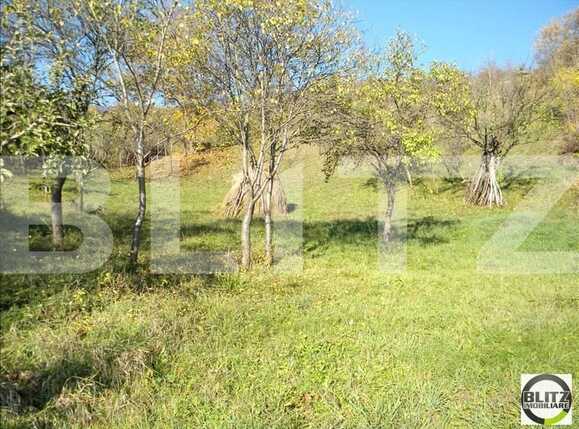 Teren de vânzare Grigorescu - 23115TV | BLITZ Cluj-Napoca | Poza1