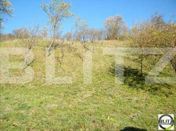 Teren de vânzare Grigorescu - 23115TV | BLITZ Cluj-Napoca | Poza5