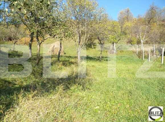 Teren de vânzare Grigorescu - 23115TV | BLITZ Cluj-Napoca | Poza2