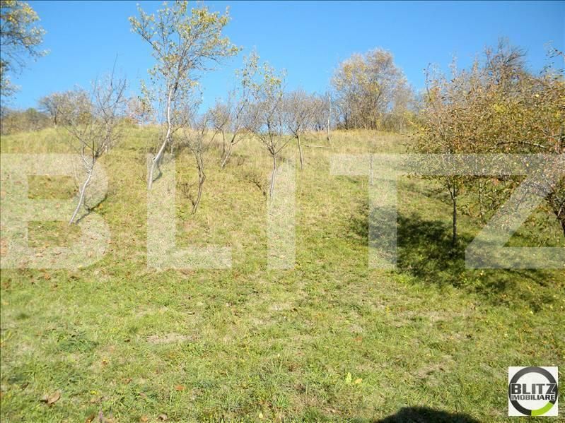 Teren de vânzare Grigorescu - 23115TV | BLITZ Cluj-Napoca | Poza5