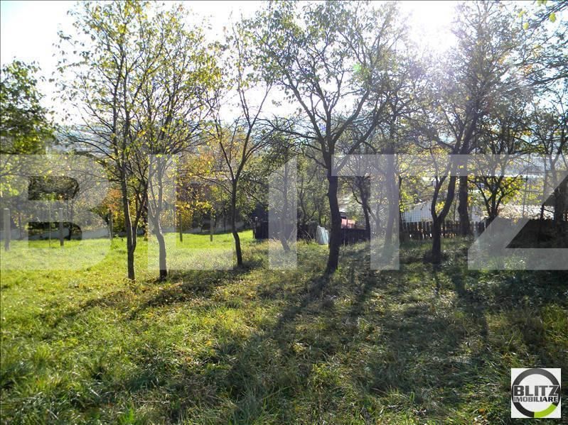 Teren de vânzare Grigorescu - 23115TV | BLITZ Cluj-Napoca | Poza4