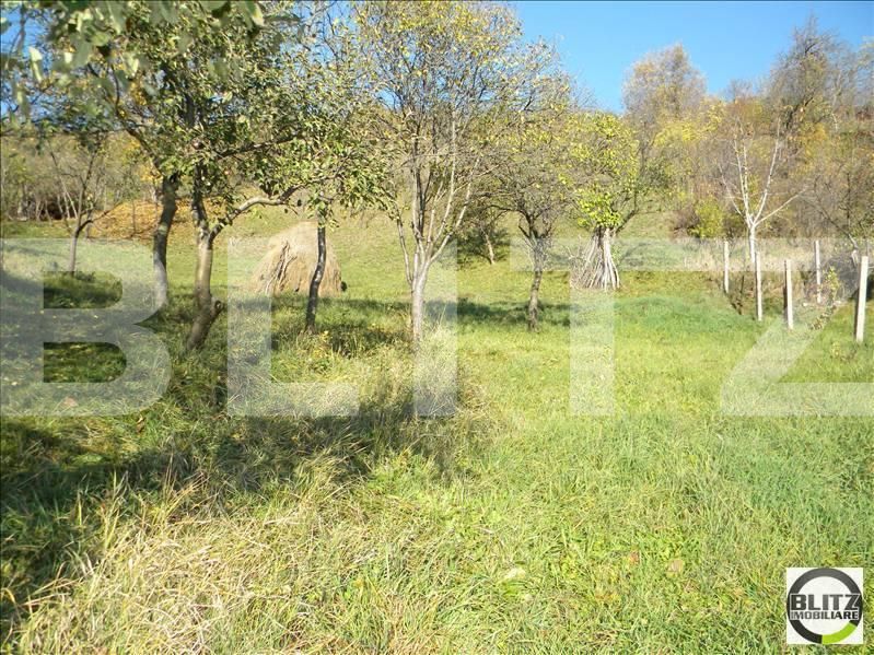 Teren de vânzare Grigorescu - 23115TV | BLITZ Cluj-Napoca | Poza2