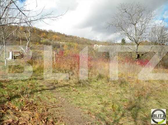 Teren de vânzare Grigorescu - 23116TV | BLITZ Cluj-Napoca | Poza4