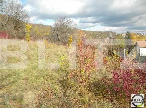 Teren de vânzare Grigorescu - 23116TV | BLITZ Cluj-Napoca | Poza3