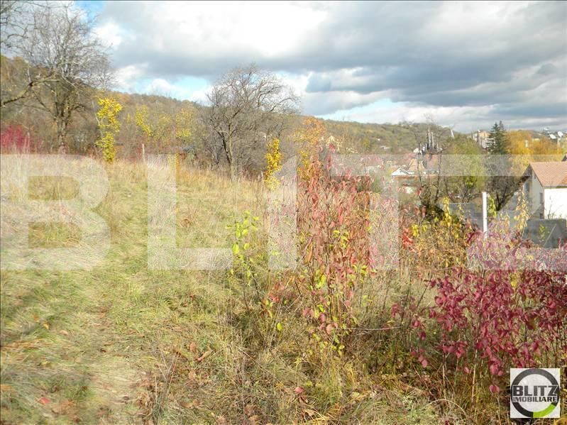 Teren de vânzare Grigorescu - 23116TV | BLITZ Cluj-Napoca | Poza3
