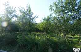 De vanzare teren, 4600 mp, toate utilitatile, ideal pentru constructie casa