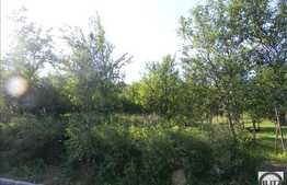 De vanzare teren, 4600 mp, toate utilitatile, ideal pentru constructie casa