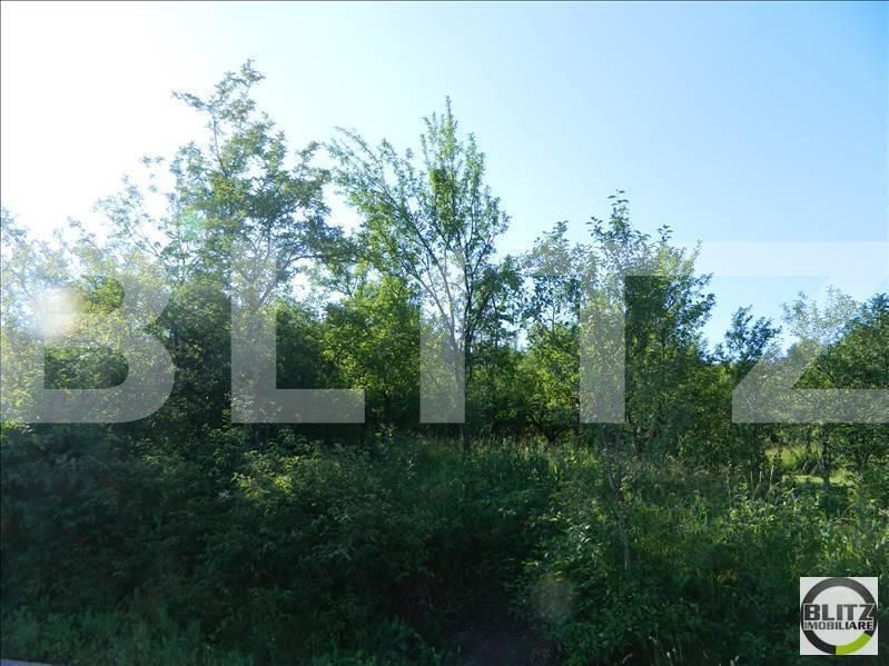 Teren de vânzare Grigorescu - 23117TV | BLITZ Cluj-Napoca | Poza3