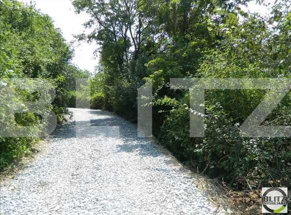 Teren de vânzare Grigorescu - 23118TV | BLITZ Cluj-Napoca | Poza6