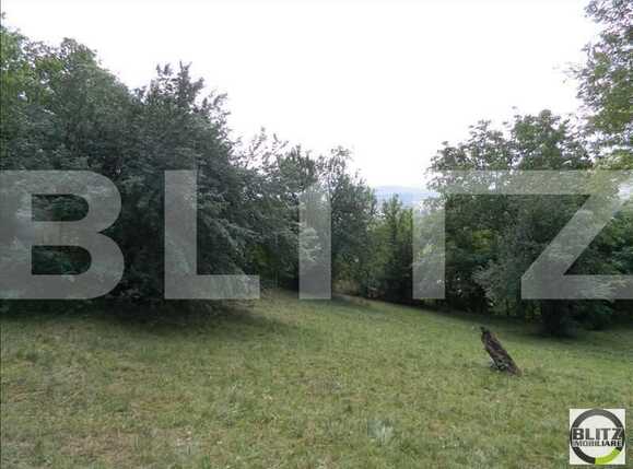 Teren de vânzare Grigorescu - 23118TV | BLITZ Cluj-Napoca | Poza3