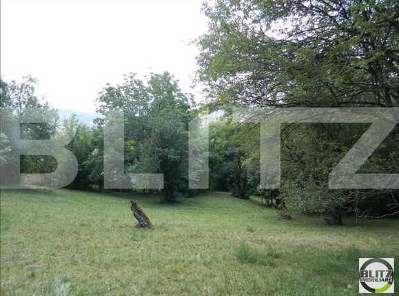 Teren de vânzare Grigorescu - 23118TV | BLITZ Cluj-Napoca | Poza2