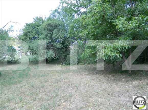 Teren de vânzare Grigorescu - 23118TV | BLITZ Cluj-Napoca | Poza1