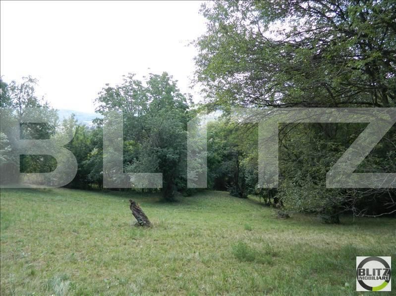 Teren de vânzare Grigorescu - 23118TV | BLITZ Cluj-Napoca | Poza2