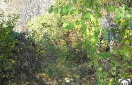 650 mp in centrul cartierului Grigorescu!