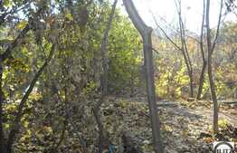 650 mp in centrul cartierului Grigorescu!