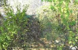 650 mp in centrul cartierului Grigorescu!