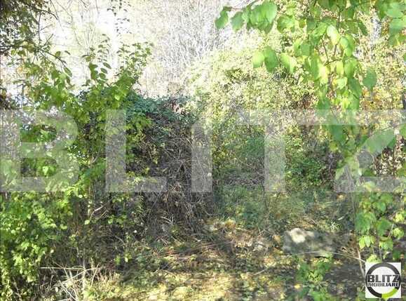 Teren de vânzare Grigorescu - 23120TV | BLITZ Cluj-Napoca | Poza2