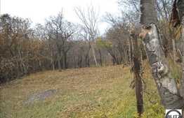 De vanzare teren 2330 mp situat in zona Donath