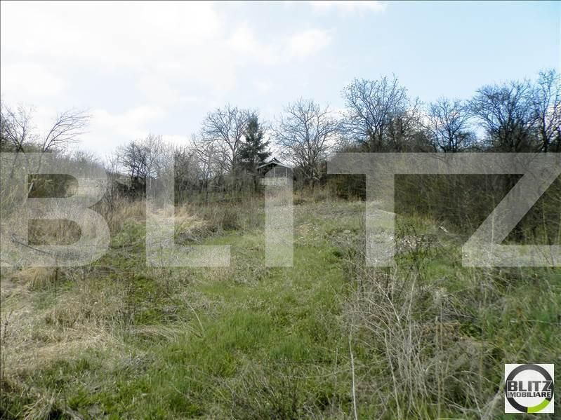 Teren de vânzare Grigorescu - 23127TV | BLITZ Cluj-Napoca | Poza6