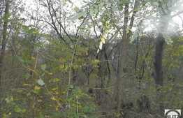 Teren 1000 mp, front 22 ml, utilitati in apropiere, zona strazii Uliului!