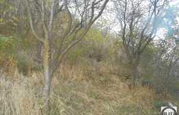 Teren 1000 mp, front 22 ml, utilitati in apropiere, zona strazii Uliului!