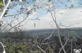 Teren 1000 mp, front 22 ml, utilitati in apropiere, zona strazii Uliului!