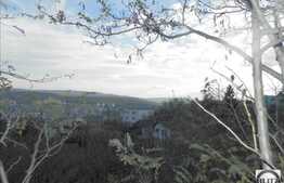 Teren 1000 mp, front 22 ml, utilitati in apropiere, zona strazii Uliului!