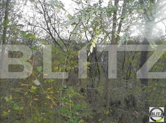 Teren de vânzare Grigorescu - 23129TV | BLITZ Cluj-Napoca | Poza10