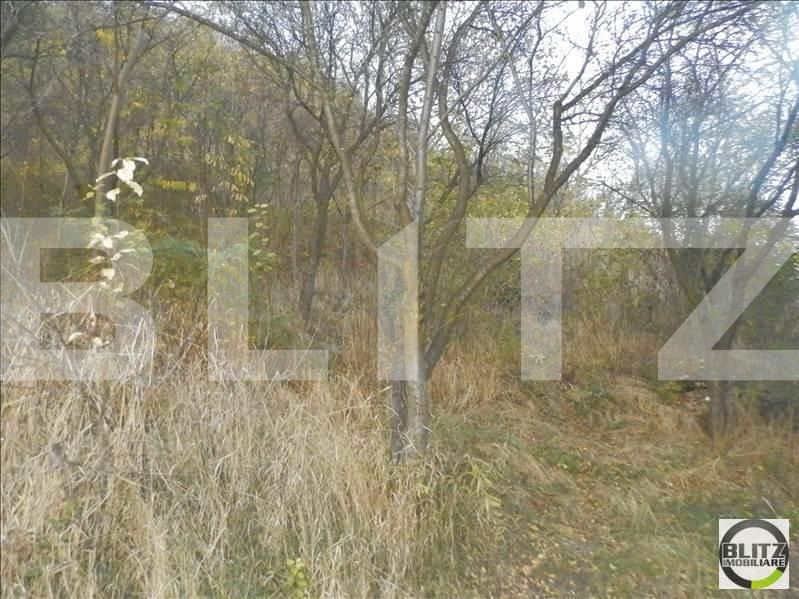 Teren de vânzare Grigorescu - 23129TV | BLITZ Cluj-Napoca | Poza12
