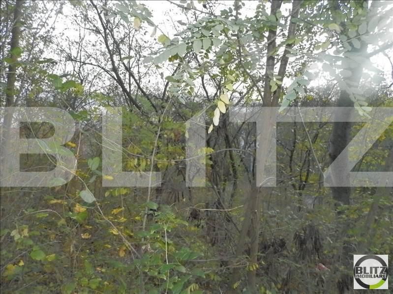 Teren de vânzare Grigorescu - 23129TV | BLITZ Cluj-Napoca | Poza10