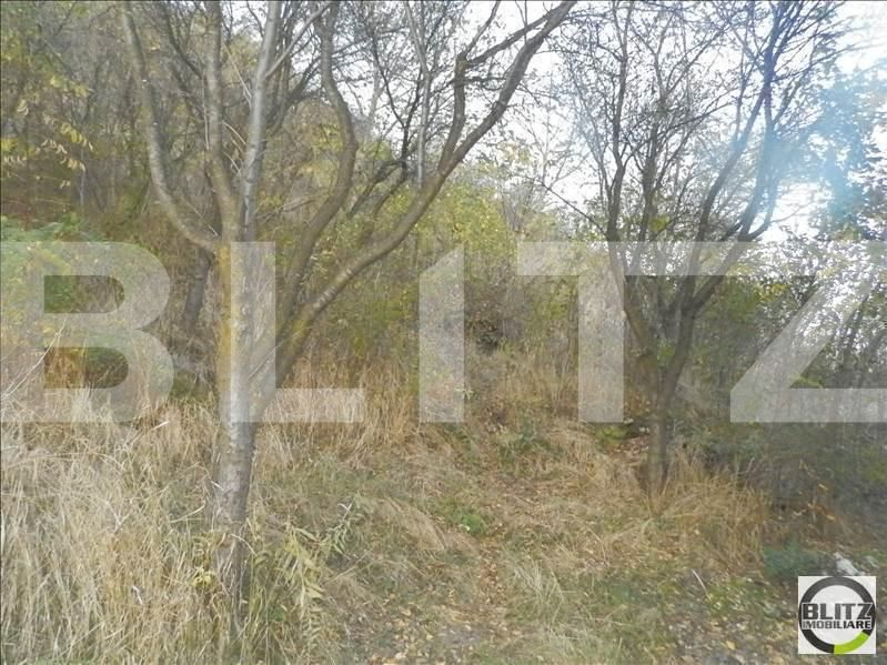 Teren de vânzare Grigorescu - 23129TV | BLITZ Cluj-Napoca | Poza11