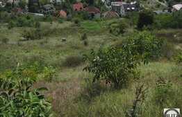 Teren intravilan, 2120 mp, utilitati la front, zona linistita!